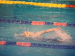 世界水泳2001で泳ぐ選手
