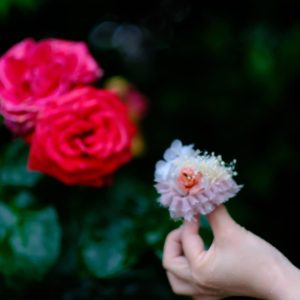 本物のバラをバックにバラのアクセサリー