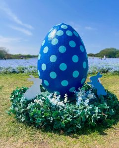 青地に淡い青の水玉模様の大きなたまごのモニュメント。バックに青空とネモフィラ