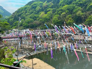 たくさんの鯉のぼり