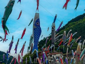 たくさんの鯉のぼり